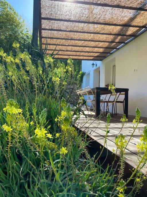 La Maison De Juliette Céret Buitenkant foto